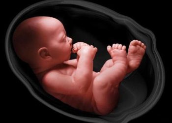 عوامل سقط جنین